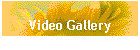 Video Gallery