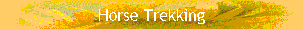Horse Trekking