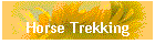 Horse Trekking