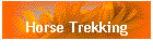 Horse Trekking