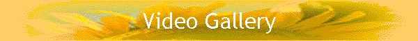 Video Gallery