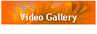 Video Gallery
